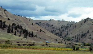 From I-90 West of Missoula